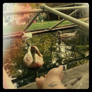 Meet Reese, a new Posher!